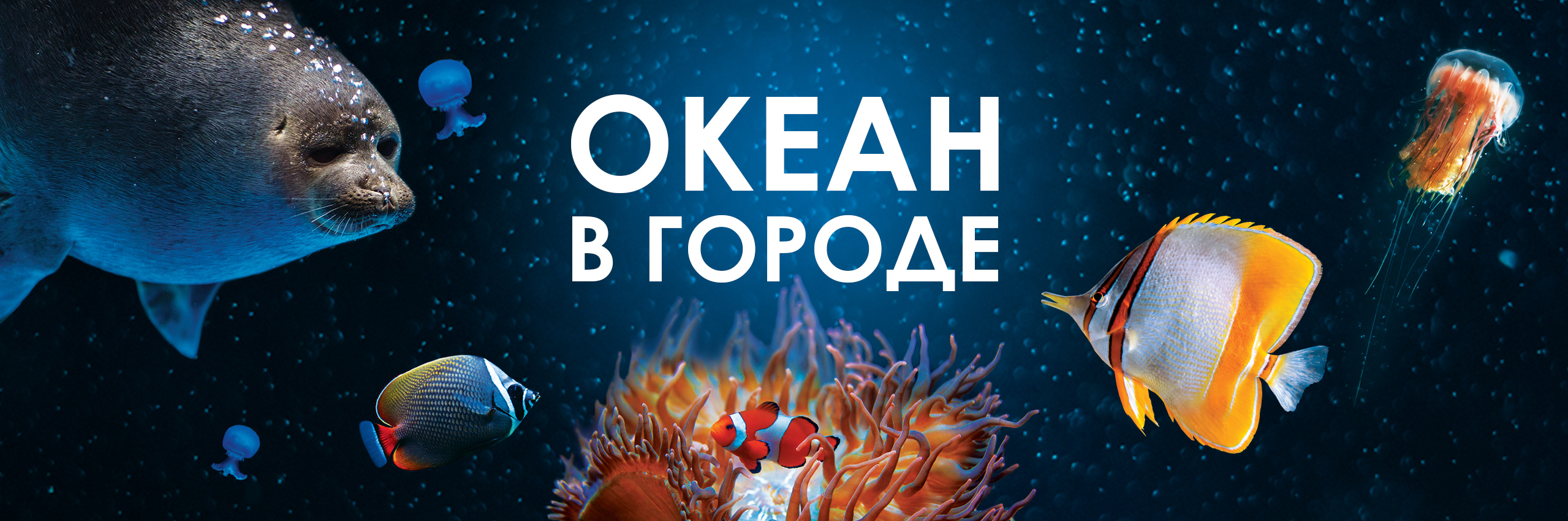 Загадка в воде живет нет клюва. Загадка в воде живет нет клюва