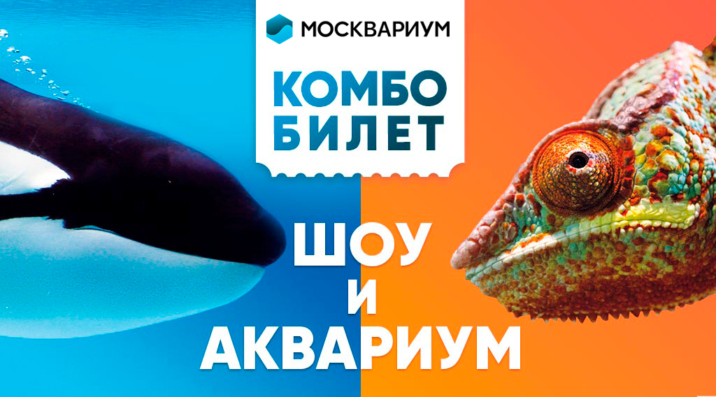 электронный билет в москвариум. сертификат в москвариум. возрождение ввц москвариум. москвариум билеты на шоу со скидкой. москвариум билеты на шоу со скидкой.